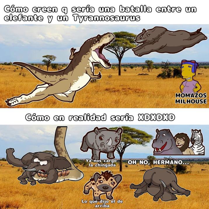 Cómo creen q sería una batalla entre un elefante y un Tyrannosaurus Cómo en realidad sería XDXDXD MOMAZOS MILHOUSE Ya nos cargó OH NO, HERMANO... la chingada Lo que-dijo el de arriba