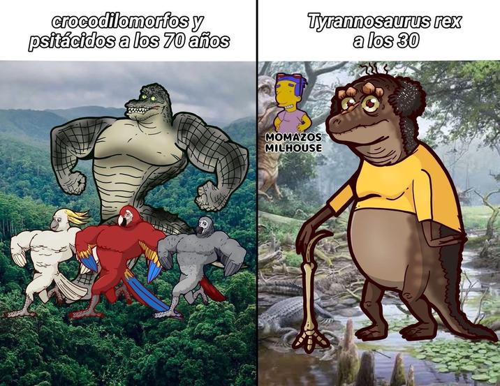 crocodilomorfos y psitácidos a los 70 años Tyrannosaurus rex a los 30 wwwww MOMAZOS MILHOUSE