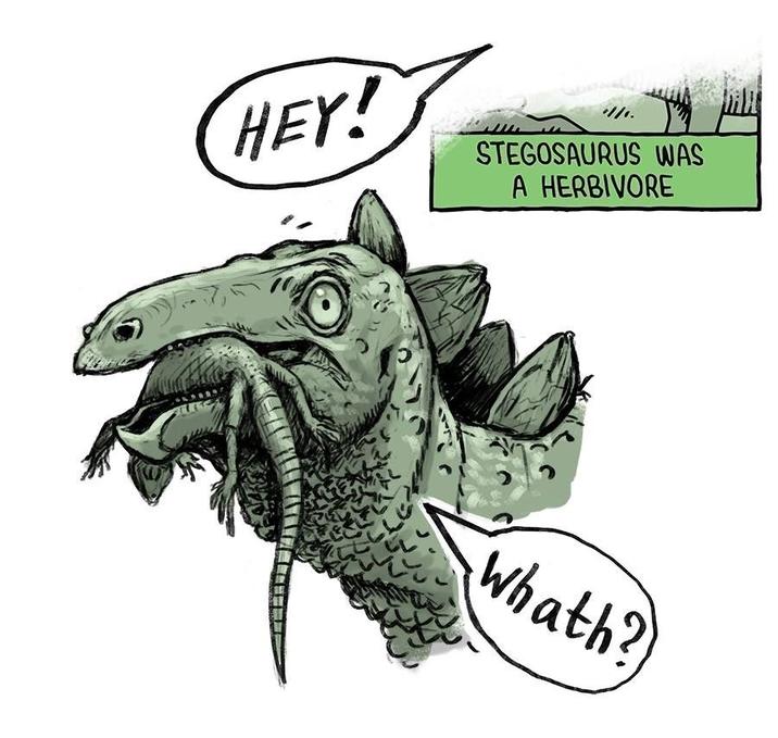 HEY! STEGOSAURUS WAS A HERBIVORE Whath?