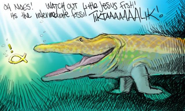 OH NOES! WATCH OUT Little Jesus Fish! Its the intermediate fossil TIKTAAAAAAALIK