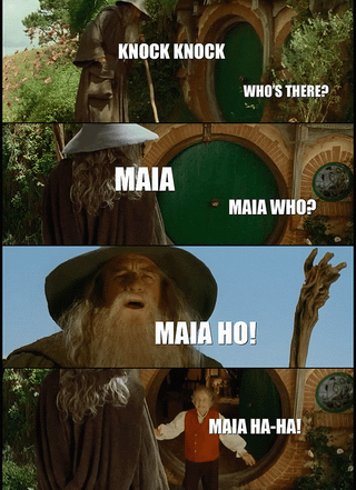 KNOCK KNOCK WHO'S THERE? MAIA MAIA WHO? MAIA HO! MAIA HA-HA!