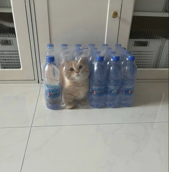 noal DEN WATER Fi WATE ER "1