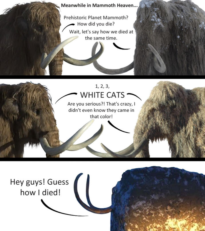 Meanwhile in Mammoth Heaven... Prehistoric Planet Mammoth? How did you die? Wait, let's say how we died at the same time. Hey guys! Guess how I died! 1, 2, 3, WHITE CATS Are you serious?! That's crazy, I didn't even know they came in that color!