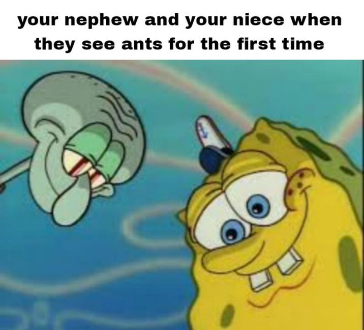 your nephew and your niece when they see ants for the first time