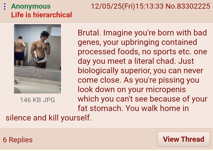 : Anonymous Life is hierarchical 146 KB JPG 12/05/25(Fri)15:13:33 No.83302225 Brutal. Imagine you're born with bad genes, your upbringing contained processed foods, no sports etc. one day you meet a literal chad. Just biologically superior, you can never come close. As you're pissing you look down on your micropenis which you can't see because of your fat stomach. You walk home in silence and kill yourself. 6 Replies View Thread