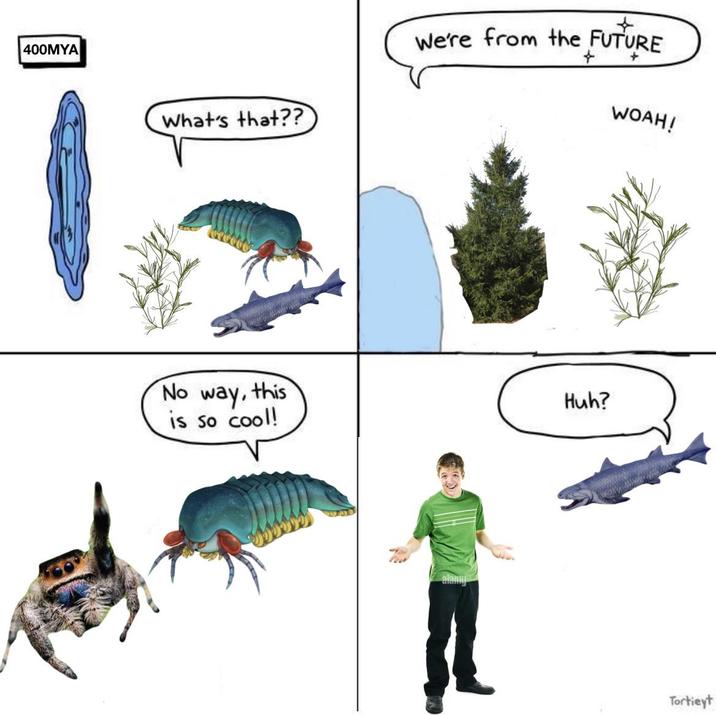 400MYA We're from the FUTURE + What's that?? WOAH! No way, this is so cool! Huh? Tortieyt