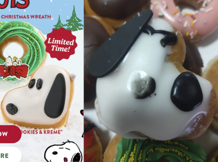 CHRISTMAS WREATH W RE Limited Time! DOKIES & KREME™