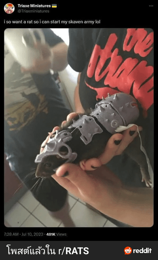 Triaxe Miniatures @Triaxminiatures i so want a rat so i can start my skaven army lol 7:28 AM Jul 10, 2023-481K Views โพสต์แล้วใน r/RATS reddit