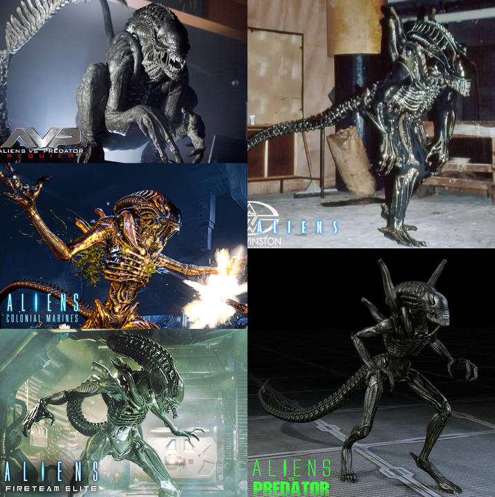 ALIENS VS PREDATOR EQUIEM ALIENS MARINES ALIENS INSTON ALIENS FIRETEAM ELITE ALIENS PREDATOR