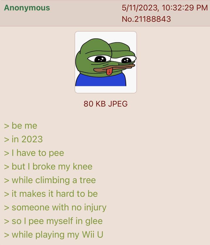 Anonymous 5/11/2023, 10:32:29 PM No.21188843 > be me > in 2023 > I have to pee 80 KB JPEG > but I broke my knee > while climbing a tree > it makes it hard to be > someone with no injury > so I pee myself in glee > while playing my Wii U