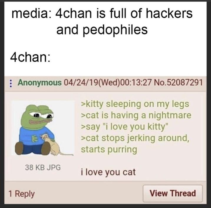 media: 4chan is full of hackers and pedophiles 4chan: Anonymous 04/24/19(Wed)00:13:27 No.52087291 >kitty sleeping on my legs >cat is having a nightmare >say "i love you kitty" >cat stops jerking around, starts purring 38 KB JPG i love you cat 1 Reply View Thread