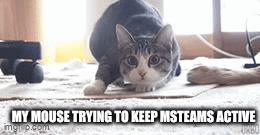 MY MOUSE TRYING TO KEEP MSTEAMS ACTIVE mgi.p.com