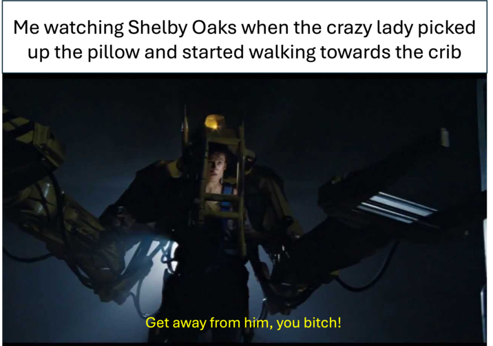 Me watching Shelby Oaks when the crazy lady picked up the pillow and started walking towards the crib Get away from him, you bitch!