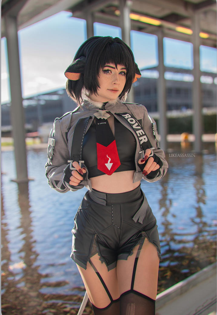 DISGUISE ROVER LIKEASSASSIN