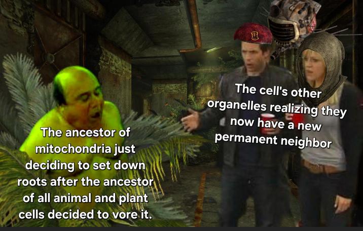 風 The ancestor of mitochondria just deciding to set down roots after the ancestor of all animal and plant cells decided to vore it. The cell's other organelles realizing they now have a new permanent neighbor