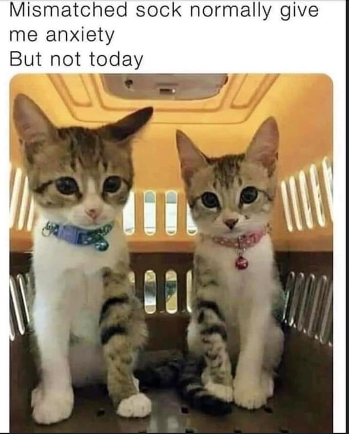 Mismatched sock normally give me anxiety But not today