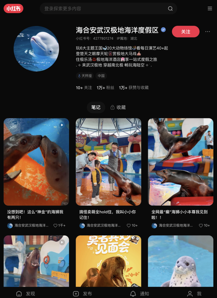 小红书 登录探索更多内容 Q 海合安武汉极地海洋度假区 关注 小红书号:4277801274 IP属地: 湖北 玩6大主题王国20大动物场馆看每日演艺40+起 登楚天之眼摩天轮赏极地大马戏 住极乐汤极地海洋酒店内享一站式度假之旅 .♦来武汉极地 穿越南北极 畅玩海陆空♦. ♂ 天秤座 中国 10+ 关注 1万+粉丝 1万+获赞与收藏 笔记 收藏 没想到吧!这么“神金”的海狮我 有两只! 搞怪卖萌全hold住,我叫小小你 记住! 全网最“癫”海狮小小本尊我见到 啦!! 海合安武汉极地海洋... ♡ 1F+ 海合安武汉极地海洋... 10+ 海合安武汉极地海洋... 10+ 见面会 发现 ④ 发布 通知 我