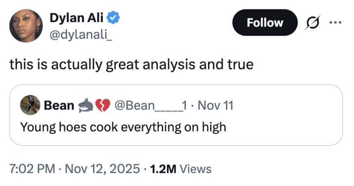A "quote-tweet":https://knowyourmeme.com/memes/quote-retweets-qrts of the original "Young Hoes Cook Everything on High" post in November 2025.