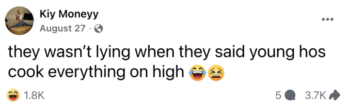 The earliest known "Facebook":https://knowyourmeme.com/memes/sites/facebook-meta post that referenced the concept of young hoes cooking everything on high, shared in August 2025.