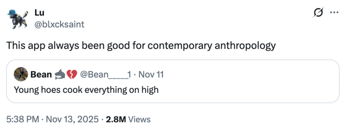 Lu @blxcksaint This app always been good for contemporary anthropology Bean @Bean 1. Nov 11 Young hoes cook everything on high • 5:38 PM Nov 13, 2025 2.8M Views ...