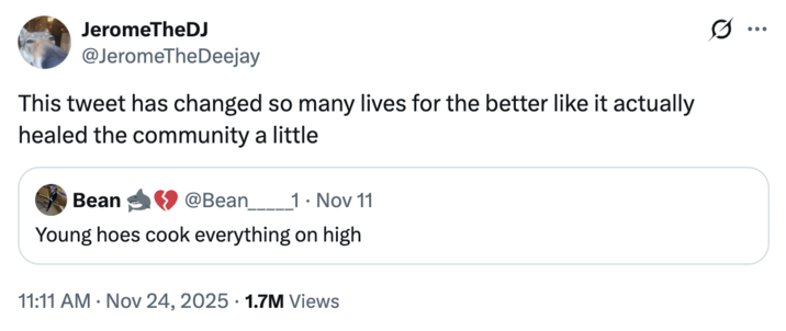 JeromeTheDJ @JeromeTheDeejay This tweet has changed so many lives for the better like it actually healed the community a little Bean @Bean 1. Nov 11 Young hoes cook everything on high . 11:11 AM Nov 24, 2025 1.7M Views ...