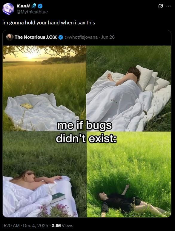 A post on Twitter. The post reads, "im gonna hold your hand when i say this," in response to a post about peacefully chilling in the grass in a world without bugs.