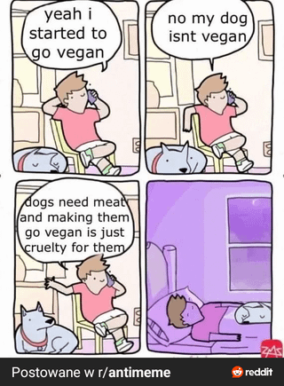 yeah i started to go vegan dogs need meat and making them go vegan is just cruelty for them no my dog isnt vegan Postowane w r/antimeme reddit