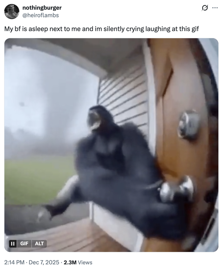 A "tweet":https://knowyourmeme.com/memes/sites/twitter-x using the "GIF":https://knowyourmeme.com/memes/cultures/gif of a "monkey":https://knowyourmeme.com/memes/monkeys-apes or gorilla flying into a tornado, which was generated using "Sora AI":https://knowyourmeme.com/memes/sites/sora-openai.