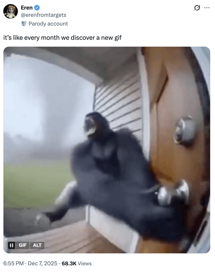 A "tweet":https://knowyourmeme.com/memes/sites/twitter-x using the "GIF":https://knowyourmeme.com/memes/cultures/gif of a "monkey":https://knowyourmeme.com/memes/monkeys-apes or gorilla flying into a tornado, which was generated using "Sora AI":https://knowyourmeme.com/memes/sites/sora-openai.