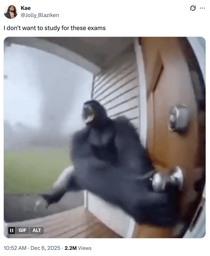 A "tweet":https://knowyourmeme.com/memes/sites/twitter-x using the "GIF":https://knowyourmeme.com/memes/cultures/gif of a "monkey":https://knowyourmeme.com/memes/monkeys-apes or gorilla flying into a tornado, which was generated using "Sora AI":https://knowyourmeme.com/memes/sites/sora-openai.