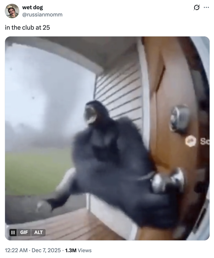 A "tweet":https://knowyourmeme.com/memes/sites/twitter-x using the "GIF":https://knowyourmeme.com/memes/cultures/gif of a "monkey":https://knowyourmeme.com/memes/monkeys-apes or gorilla flying into a tornado, which was generated using "Sora AI":https://knowyourmeme.com/memes/sites/sora-openai.