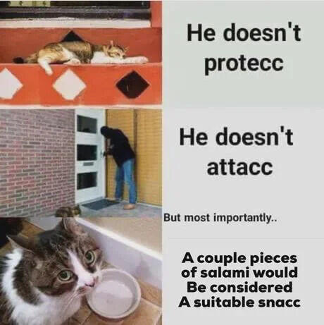 He doesn't protecc He doesn't attacc But most importantly.. A couple pieces of salami would Be considered A suitable snacc