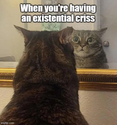 imgflip.com When you're having an existential criss