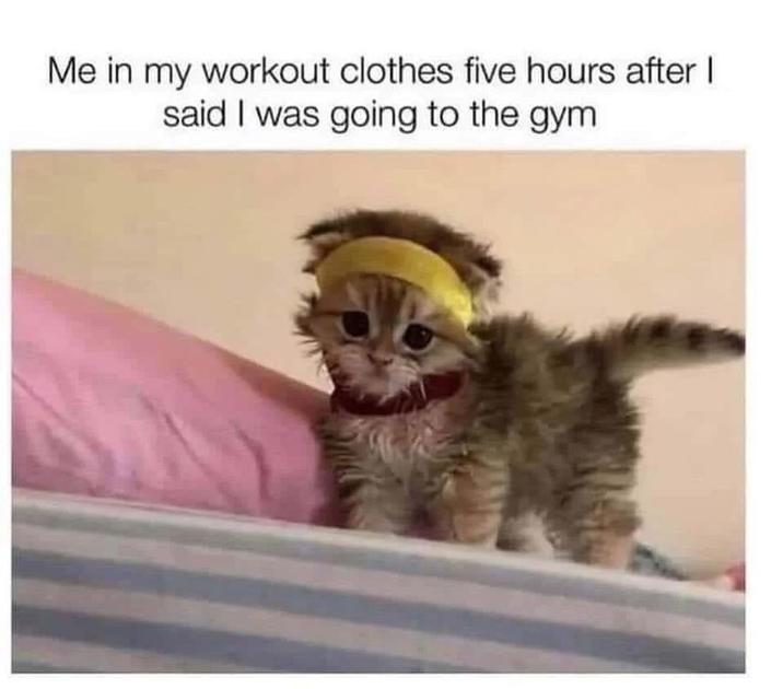 Me in my workout clothes five hours after I said I was going to the gym