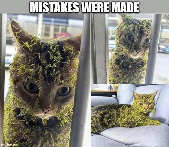 imgflip.com MISTAKES WERE MADE