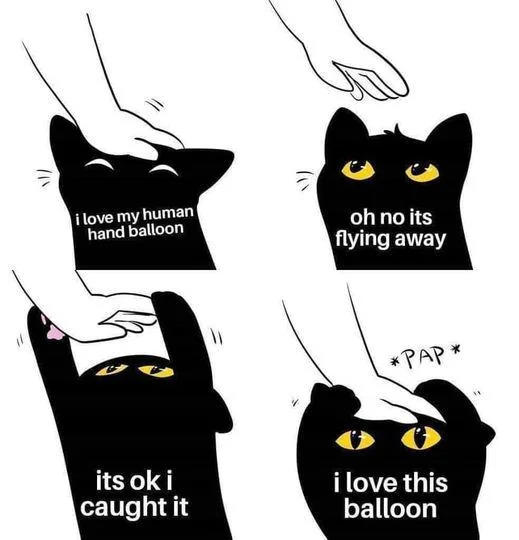 i love my human hand balloon oh no its flying away its ok i caught it *PAP* i love this balloon