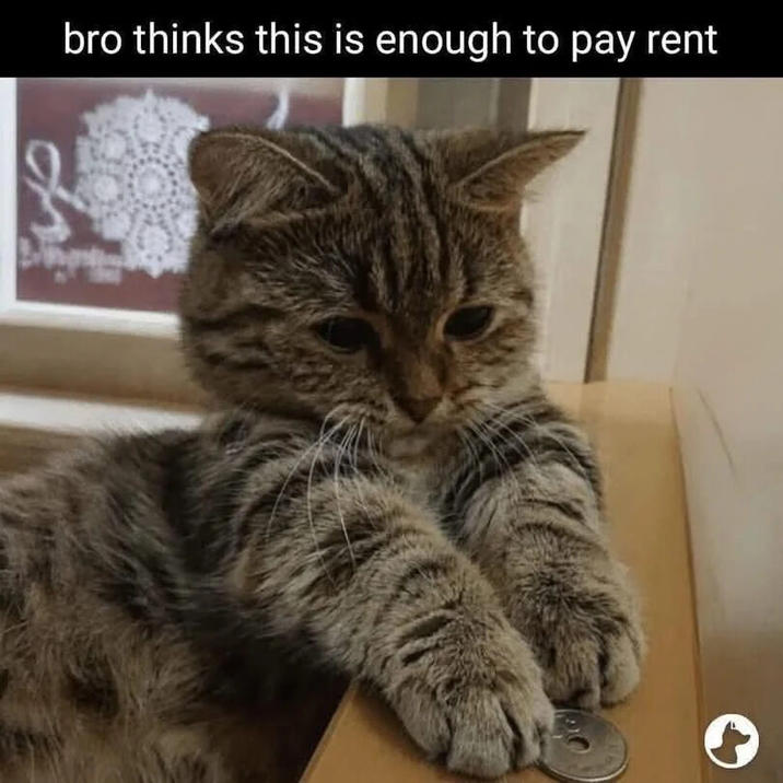 bro thinks this is enough to pay rent