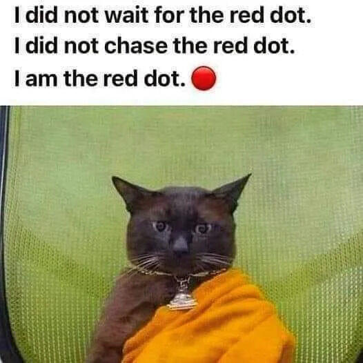 I did not wait for the red dot. I did not chase the red dot. I am the red dot.