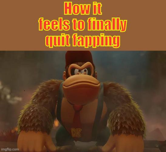 imgflip.com How it feels to finally quit fapping DK