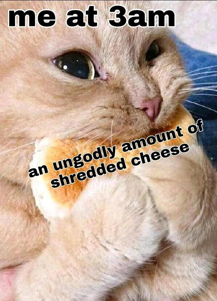 me at 3am an ungodly amount of shredded cheese