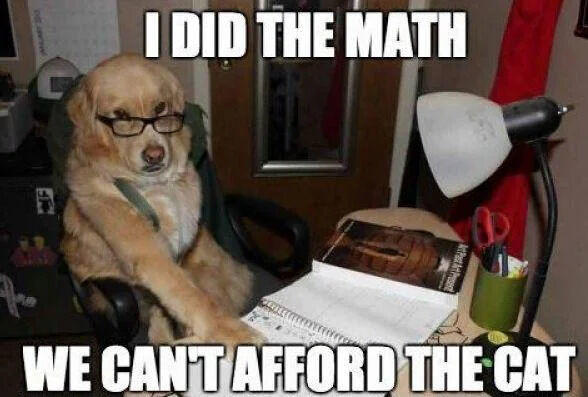 www I DID THE MATH At Past Art Present WE CAN'T AFFORD THE CAT