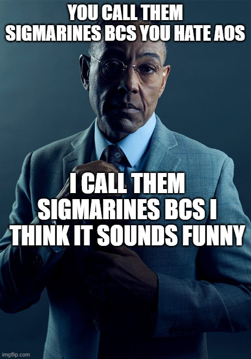 YOU CALL THEM SIGMARINES BCS YOU HATE AOS I CALL THEM SIGMARINES BCS I THINK IT SOUNDS FUNNY imgflip.com