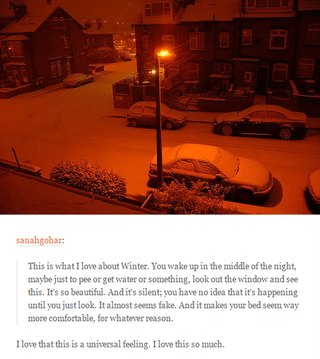 sanahgohar: This is what I love about Winter. You wake up in the middle of the night, maybe just to pee or get water or something, look out the window and see this. It's so beautiful. And it's silent; you have no idea that it's happening until you just look. It almost seems fake. And it makes your bed seem way more comfortable, for whatever reason. I love that this is a universal feeling. I love this so much.