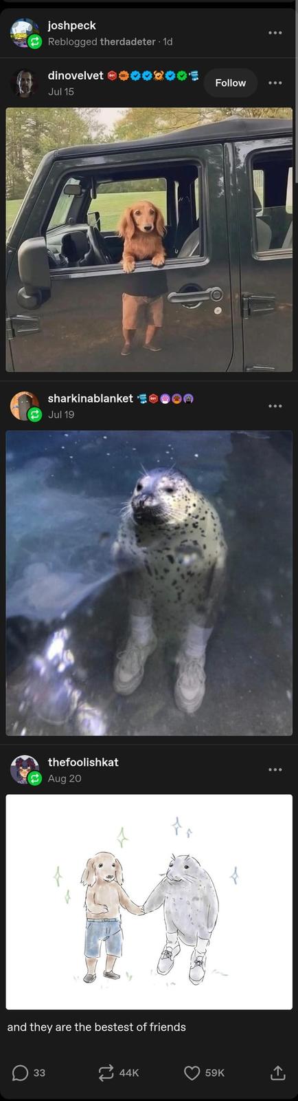 joshpeck Reblogged therdadeter. 1d dinovelvet Jul 15 sharkinablanket Jul 19 thefoolishkat Aug 20 Follow and they are the bestest of friends ☐ 33 44K 59K <]