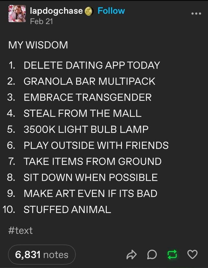 lapdogchase Follow Feb 21 MY WISDOM 1. DELETE DATING APP TODAY 2. GRANOLA BAR MULTIPACK EMBRACE TRANSGENDER 3. 4. STEAL FROM THE MALL 5. 3500K LIGHT BULB LAMP 6. PLAY OUTSIDE WITH FRIENDS 7. TAKE ITEMS FROM GROUND 8. SIT DOWN WHEN POSSIBLE 9. MAKE ART EVEN IF ITS BAD 10. STUFFED ANIMAL #text 6,831 notes D >