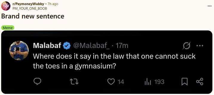 r/PaymoneyWubby ⚫ 7h ago PM_YOUR_ONE_BOOB Brand new sentence Meme Malabaf @Malabaf 17m Where does it say in the law that one cannot suck the toes in a gymnasium? 27 14 193 ... go