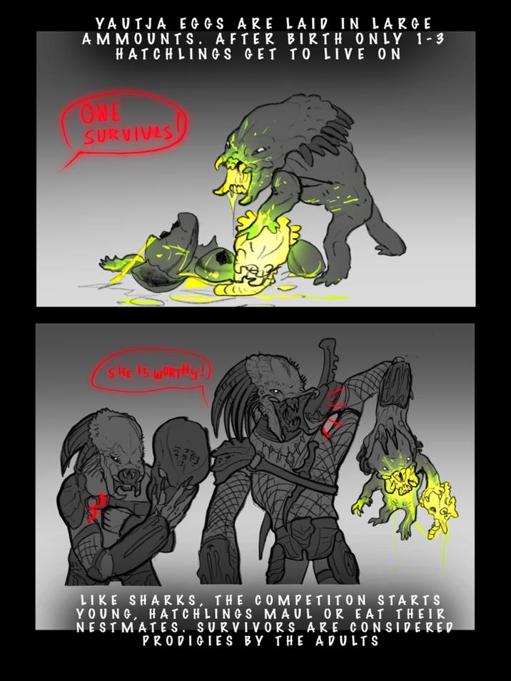 YAUTJA EGGS ARE LAID IN LARGE AMMOUNTS. AFTER BIRTH ONLY 1-3 HATCHLINGS GET TO LIVE ON ONE SURVIVES SHE IS WORTHY!) LIKE SHARKS, THE COMPETITON STARTS YOUNG, HATCHLINGS MAUL OR EAT THEIR NESTMATES. SURVIVORS ARE CONSIDERED PRODIGIES BY THE ADULTS