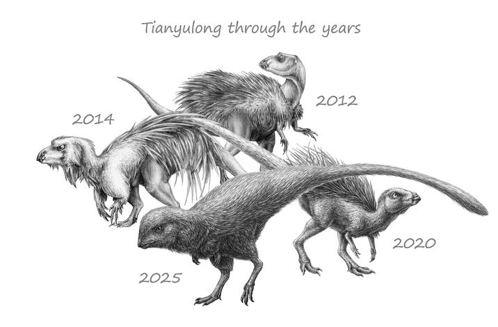 2014 Tianyulong through the years 2012 2025 2020