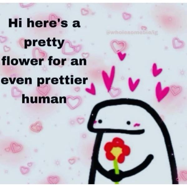 Hi here's a pretty flower for an even prettier human @wholesomeblelig