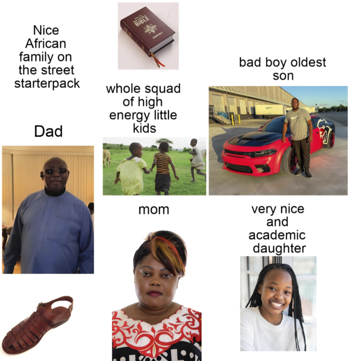 TV SALZS NW CAT BIBLE Nice African family on the street starterpack Dad whole squad of high energy little kids bad boy oldest son mom very nice and academic daughter